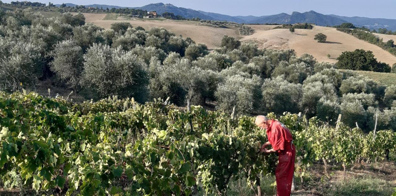 Agriturismo Santa Chiara 波马兰切 外观 照片