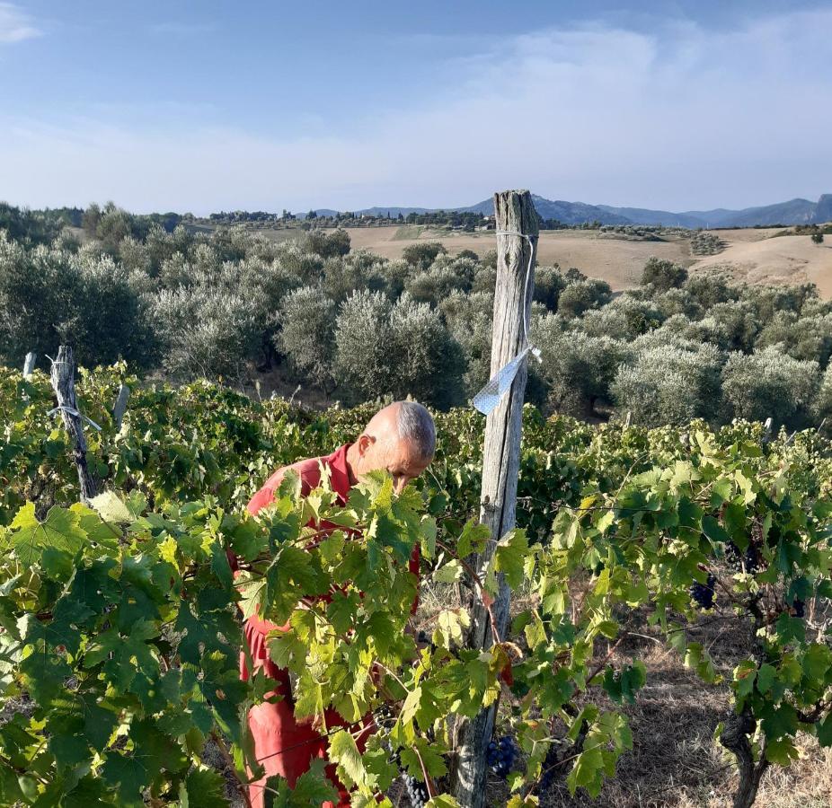 Agriturismo Santa Chiara 波马兰切 外观 照片
