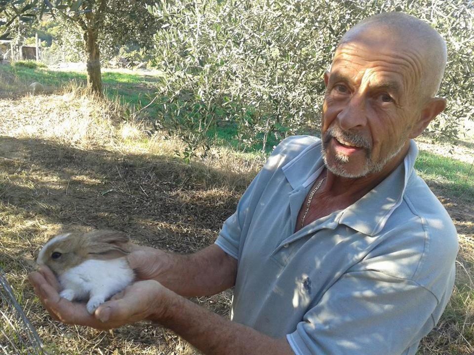 Agriturismo Santa Chiara 波马兰切 外观 照片