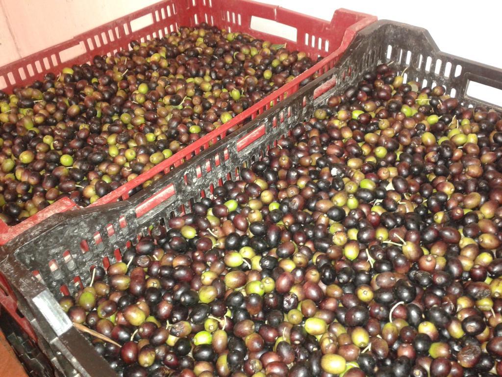 Agriturismo Santa Chiara 波马兰切 外观 照片