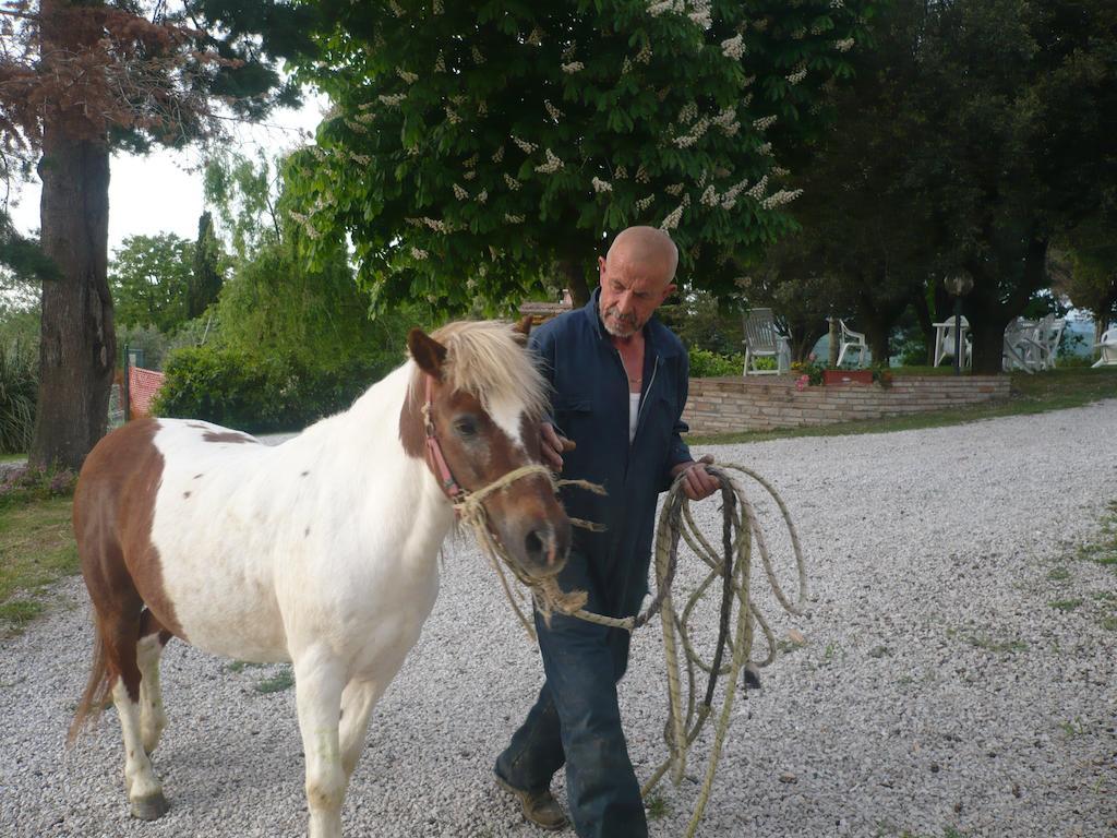 Agriturismo Santa Chiara 波马兰切 外观 照片