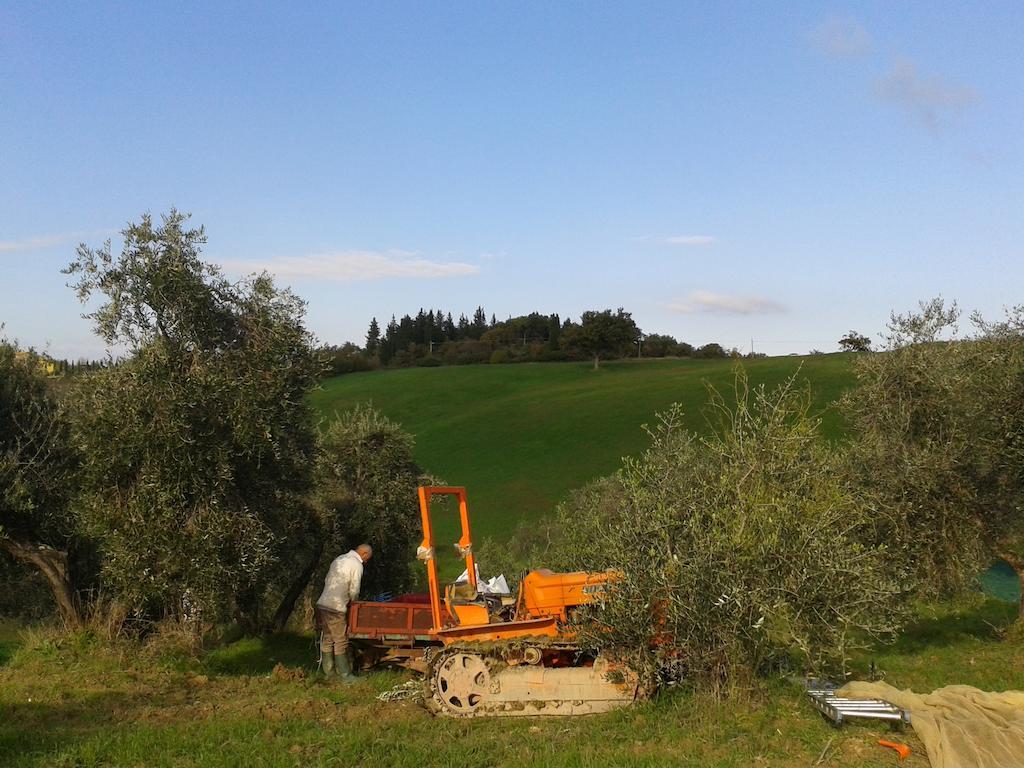 Agriturismo Santa Chiara 波马兰切 外观 照片