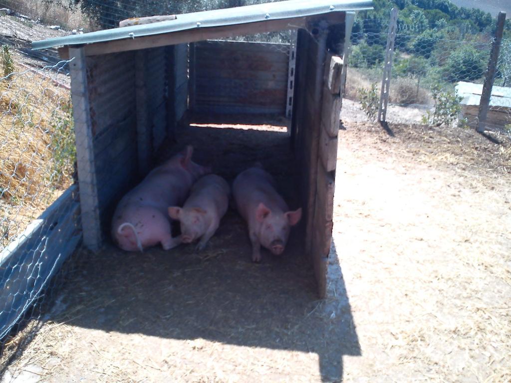 Agriturismo Santa Chiara 波马兰切 外观 照片
