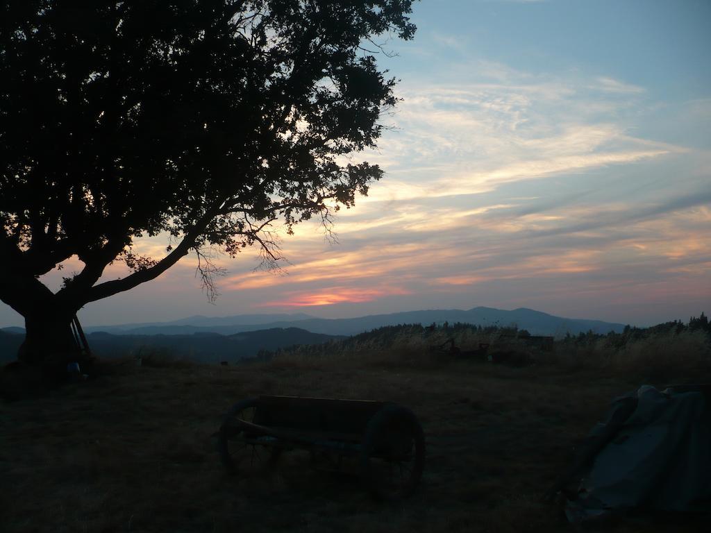 Agriturismo Santa Chiara 波马兰切 外观 照片