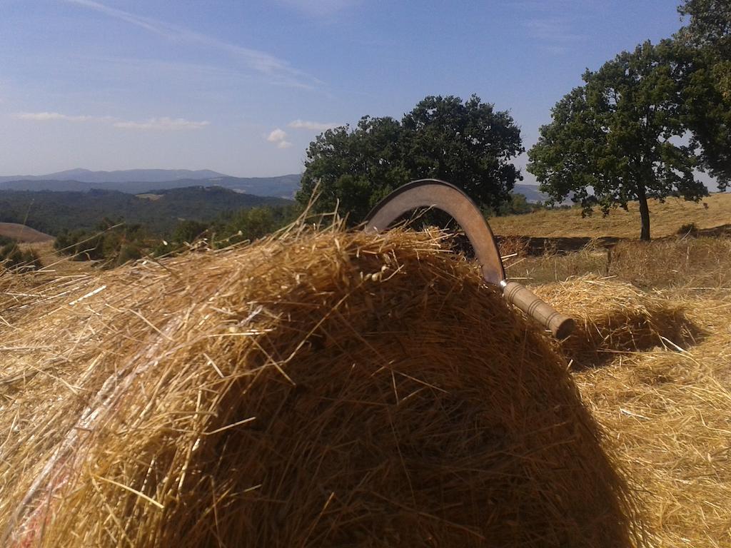 Agriturismo Santa Chiara 波马兰切 外观 照片