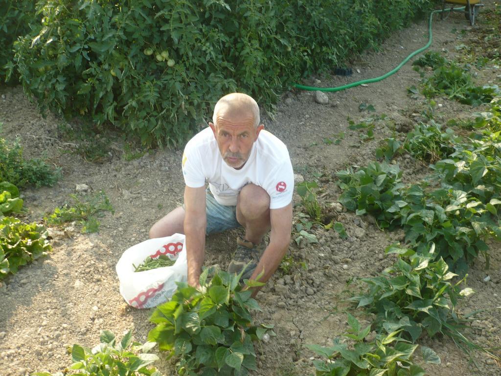 Agriturismo Santa Chiara 波马兰切 外观 照片