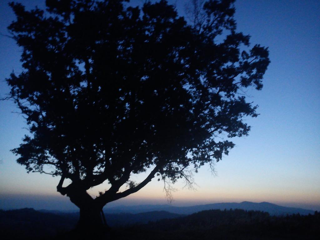 Agriturismo Santa Chiara 波马兰切 外观 照片